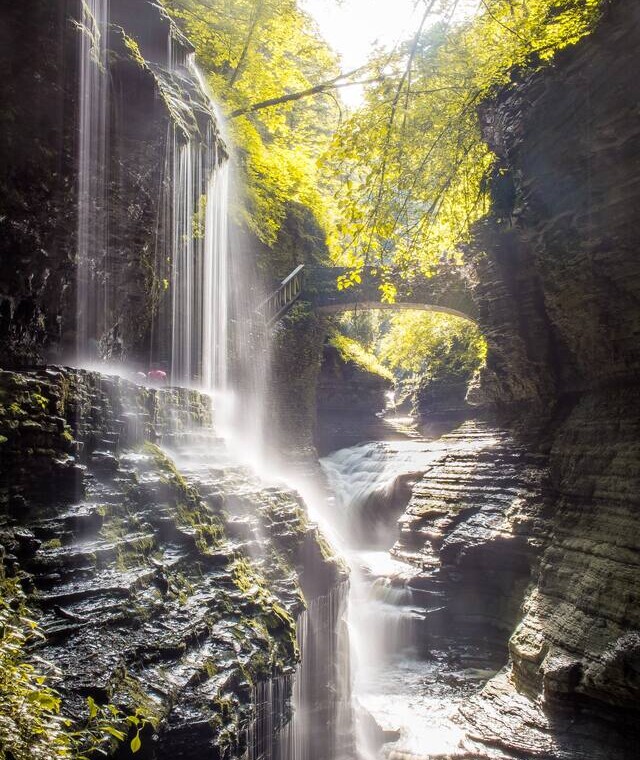 6d8bb0f9 18a3 485e a4c4 49bedabed8a3.jpg