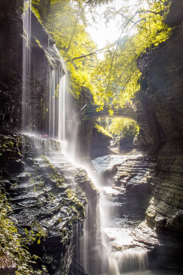 6d8bb0f9 18a3 485e a4c4 49bedabed8a3.jpg